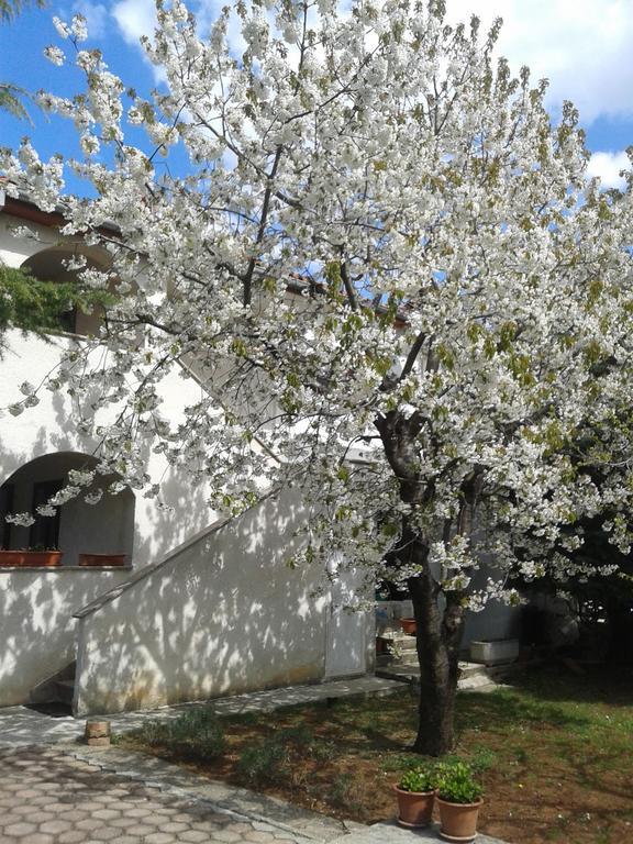 Apartments Porec Istria By Nina Exterior photo